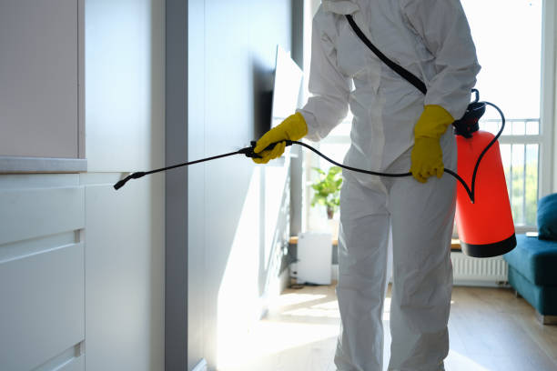 Best Mold Removal Process  in Viola, IL