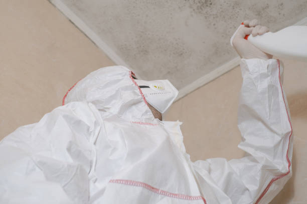 Best Mold Removal Specialists  in Viola, IL