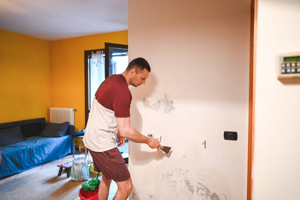 Best Local Mold Removal Service  in Viola, IL